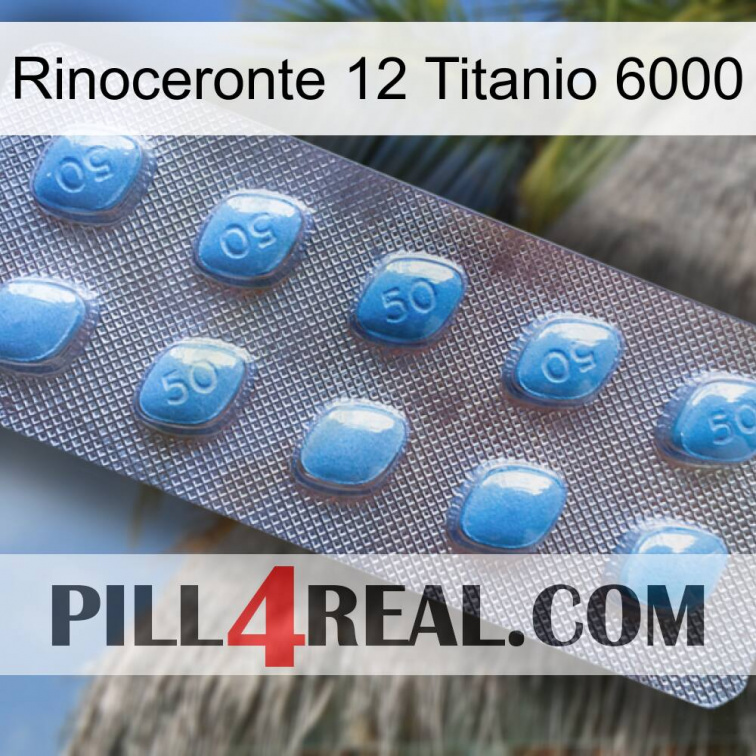 Rhino 12 Titanium 6000 viagra3